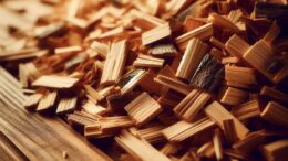 Hackschnitzelheizung Nachteile