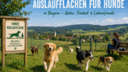 Auslaufflächen für Hunde