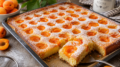 Saftiger Marillenkuchen nach Landfrauen Rezept